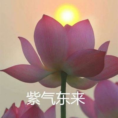 梦幻次元破解版下载